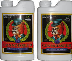 Connoisseur