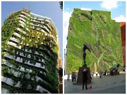 Jardines verticales