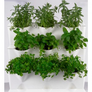Jardines verticales