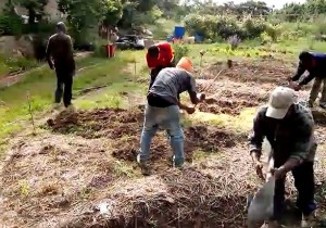 La permacultura y el cannabis foto de caballones La permacultura y el cannabis