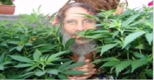 El cannabis y sus efectos en los ojos foto de entre plantas El cannabis y sus efectos en los ojos
