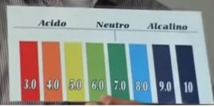 Como medir el ph foto de escala ph Como medir el ph