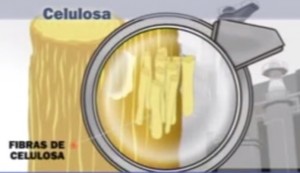 Que lio de papeles foto de celulosa Que lio de papeles