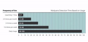 Cuanto tiempo se queda el THC en el cuerpo? foto de frecuencia Cuanto tiempo se queda el THC en el cuerpo?