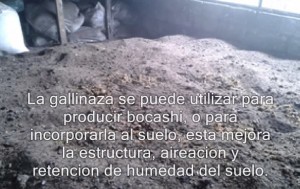 Las diferencias entre los productos minerales y organicos foto de gallinaza Las diferencias entre los productos minerales y organicos