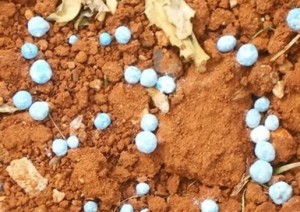 Las diferencias entre los productos minerales y organicos
