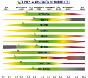 Como medir el ph foto de ph nutrientes Como medir el ph