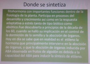 Las hormonas en las plantas