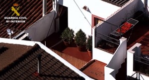 Que no os vean el cultivo foto de exterior Que no os vean el cultivo